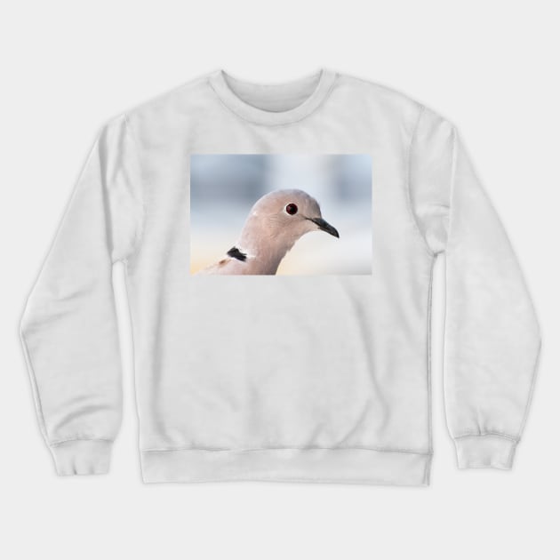 Island Dove Crewneck Sweatshirt by gdb2